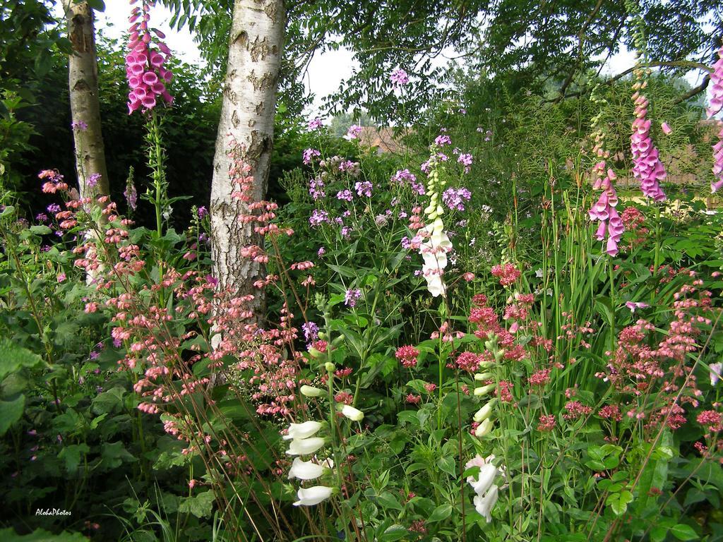 Gite Des Hortillonnages Camon  Exterior foto