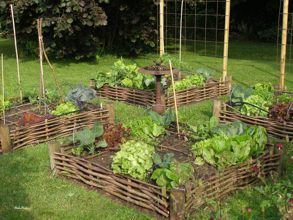 Gite Des Hortillonnages Camon  Exterior foto