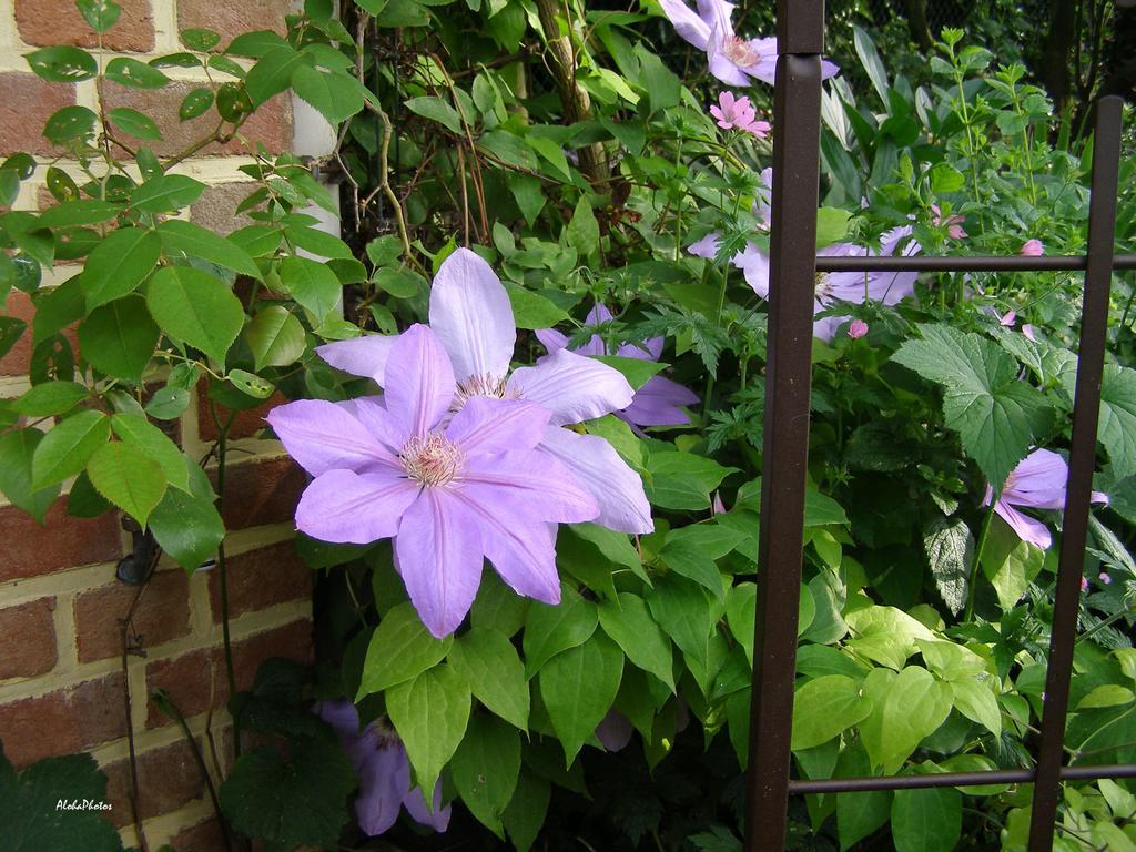Gite Des Hortillonnages Camon  Exterior foto